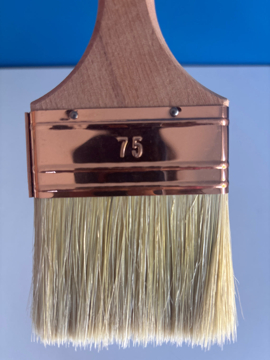 BROSSE PLATE-75
